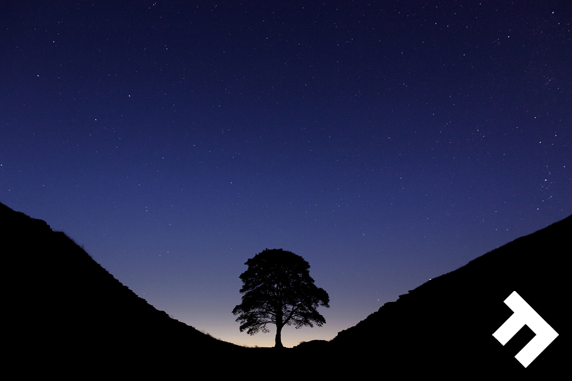 Unlearn The City - Sycamore Gap