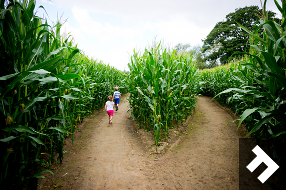 Be Amazed At York Maze