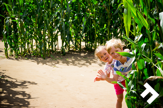 Be Amazed At York Maze