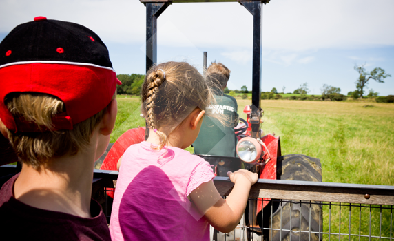 fun-at-whitehouse-farm