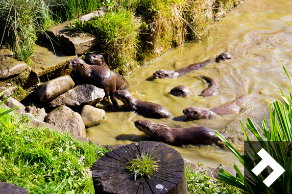 Washington Wetland Centre