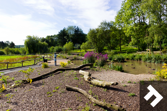 Washington Wetland Centre