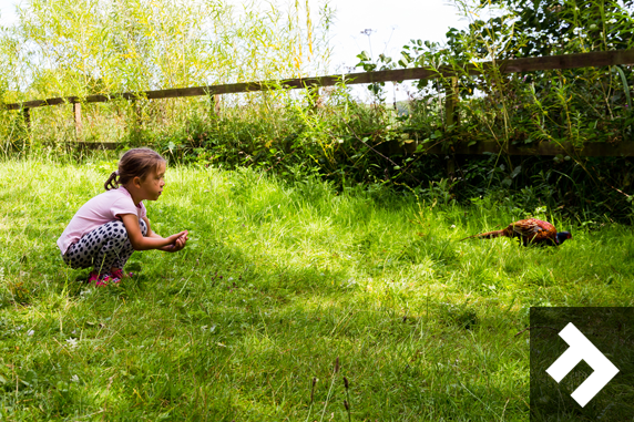 Washington Wetland Centre