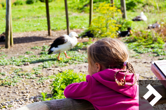 Washington Wetland Centre