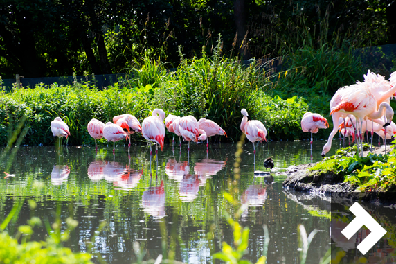 Washington Wetland Centre