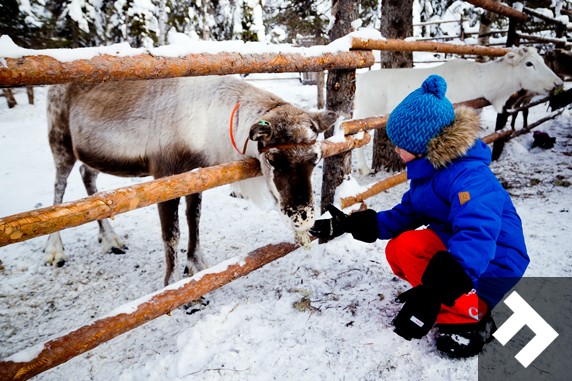 I Love Eating Snow - Feeding Reindeer