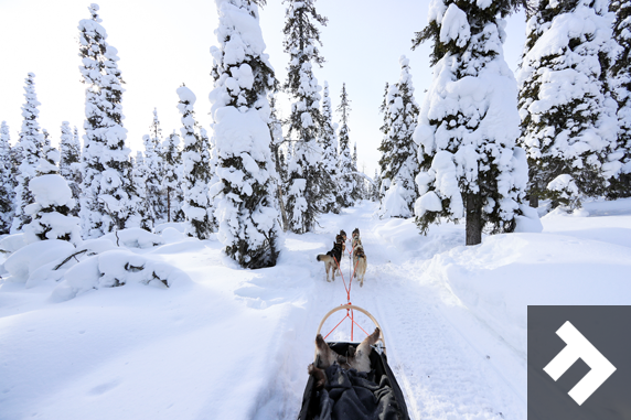 I Love Eating Snow - Husky Ride