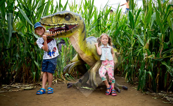 be-amazed-at-york-maze