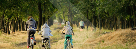 important-accessories-for-your-kids-bike