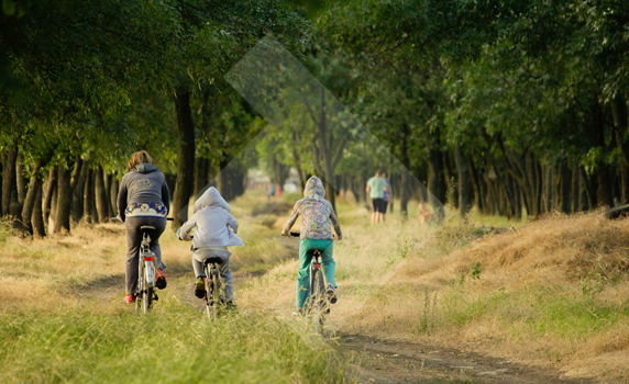 important-accessories-for-your-kids-bike